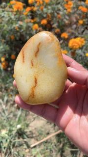 和田玉籽料原石原皮洒金皮手把件,形状完整,克重379.2克!